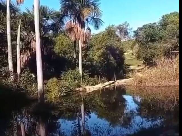 #3120 - Fazenda para Venda em Figueirão - MS