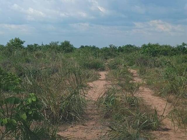 Fazenda para Venda em Araguaína - 4