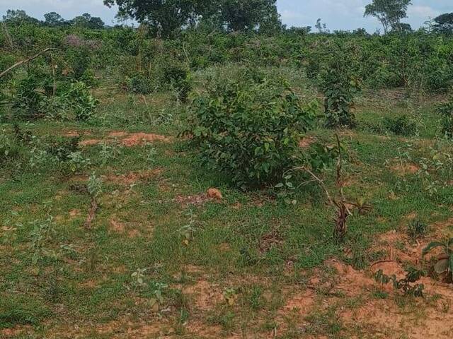 #3127 - Fazenda para Venda em Araguaína - TO - 2