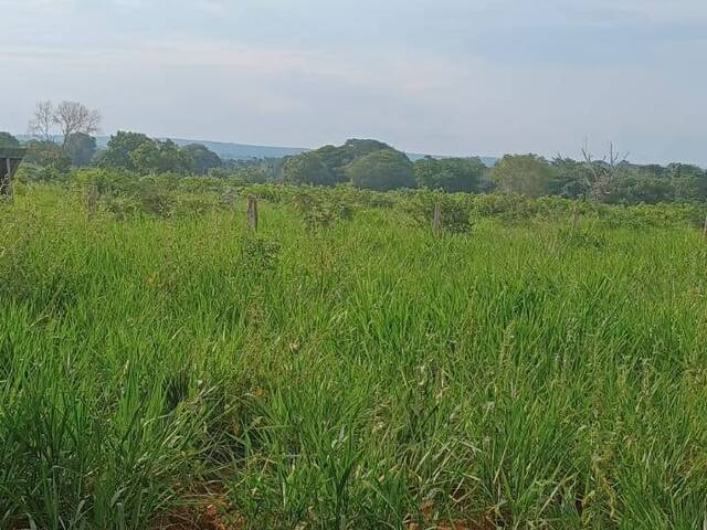#3127 - Fazenda para Venda em Araguaína - TO - 3