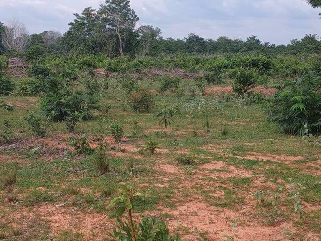 #3127 - Fazenda para Venda em Portel - PA