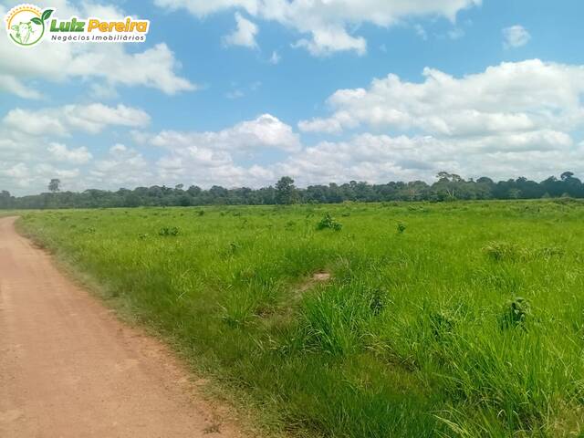 Fazenda para Venda em Baião - 5