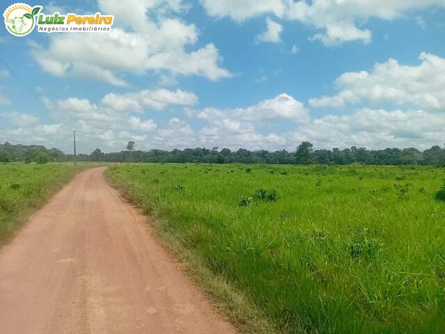 #3128 - Fazenda para Venda em Baião - PA