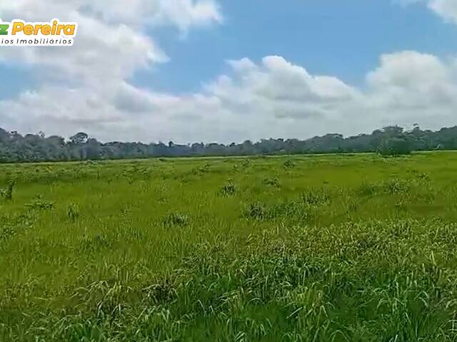 #3128 - Fazenda para Venda em Baião - PA - 2