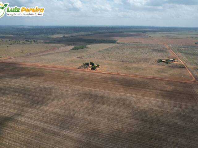Fazenda para Venda em Açailândia - 4