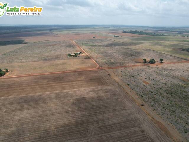 Venda em Zona Rural - Açailândia