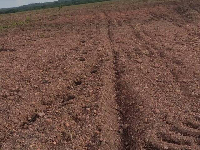 Fazenda para Venda em Araguaína - 5