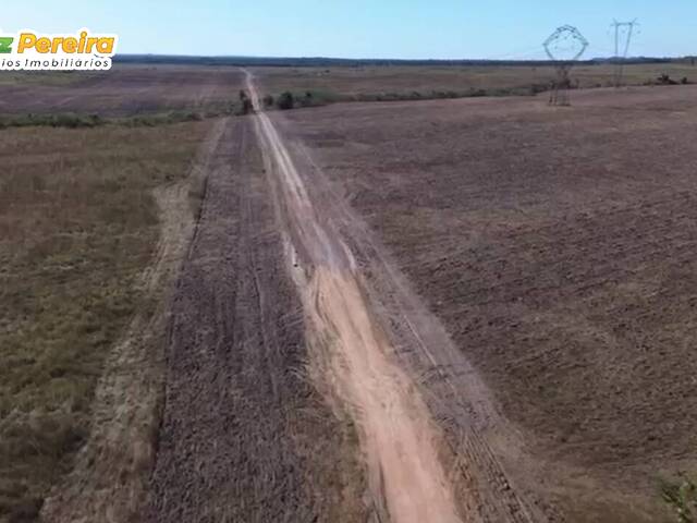 Fazenda para Venda em Araguaína - 4