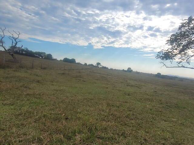 #3131 - Fazenda para Venda em Rio Verde de Mato Grosso - MS - 3