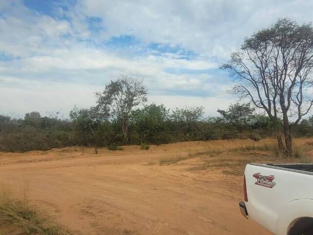 Fazenda para Venda em Rio Verde de Mato Grosso - 4