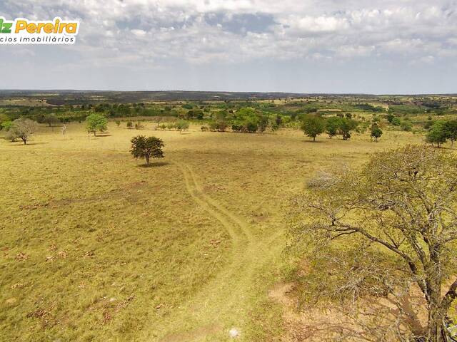 Venda em Zona Rural - Alcinópolis