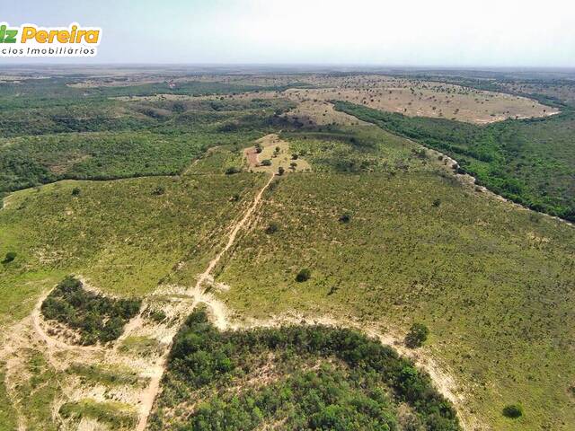 #3133 - Fazenda para Venda em Jauru - MT - 1