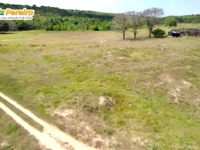 #3133 - Fazenda para Venda em Jauru - MT - 2