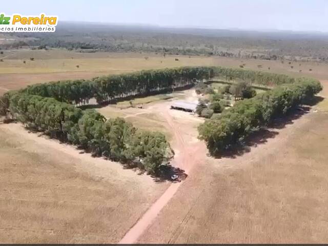 #3134 - Fazenda para Venda em Goiatins - TO - 1