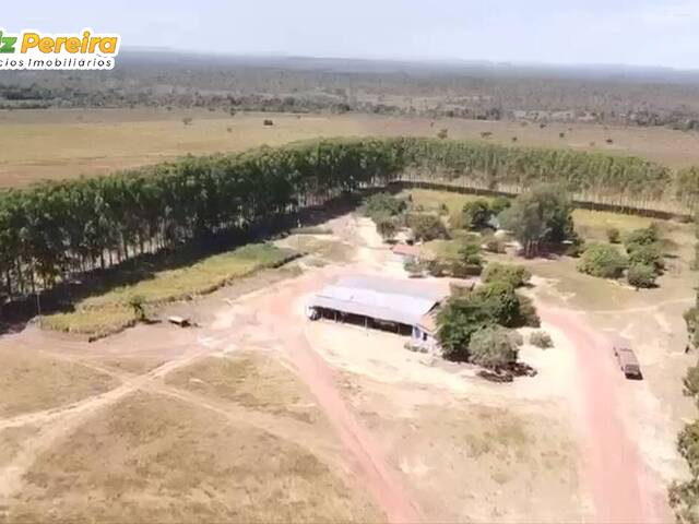 Fazenda para Venda em Goiatins - 5