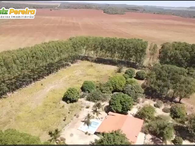Fazenda para Venda em Goiatins - 4