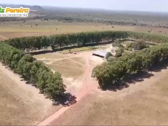 #3134 - Fazenda para Venda em Goiatins - TO - 3