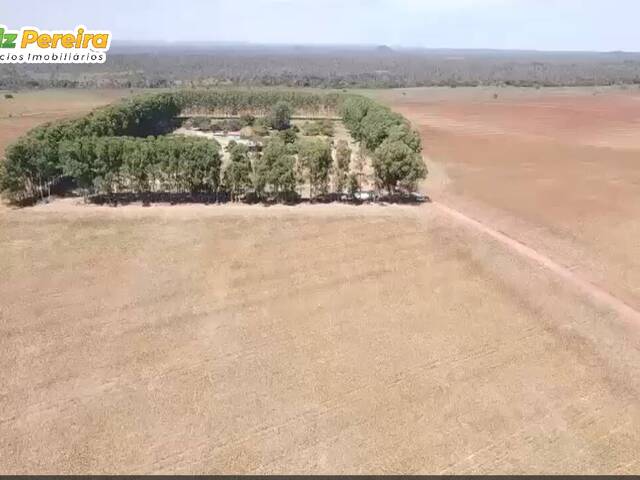 #3134 - Fazenda para Venda em Goiatins - TO - 2