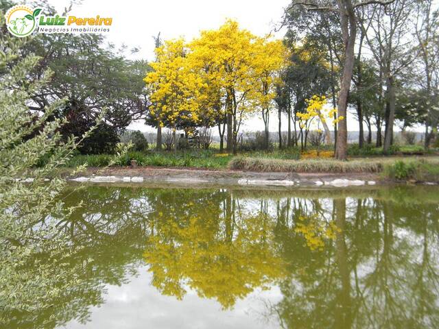 Fazenda para Venda em Aparecida do Taboado - 4