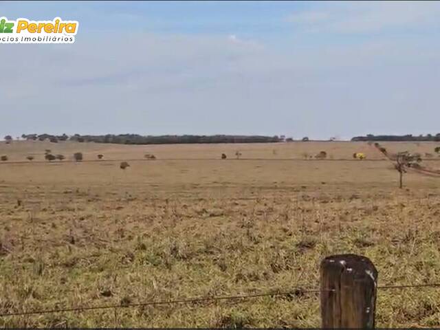 #3135 - Fazenda para Venda em Aparecida do Taboado - MS - 2