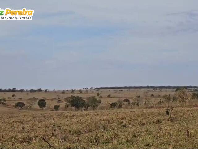 #3135 - Fazenda para Venda em Aparecida do Taboado - MS - 3