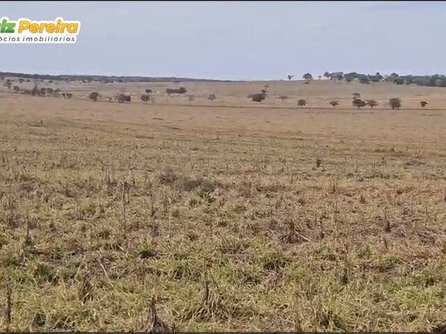 #3135 - Fazenda para Venda em Aparecida do Taboado - MS - 1
