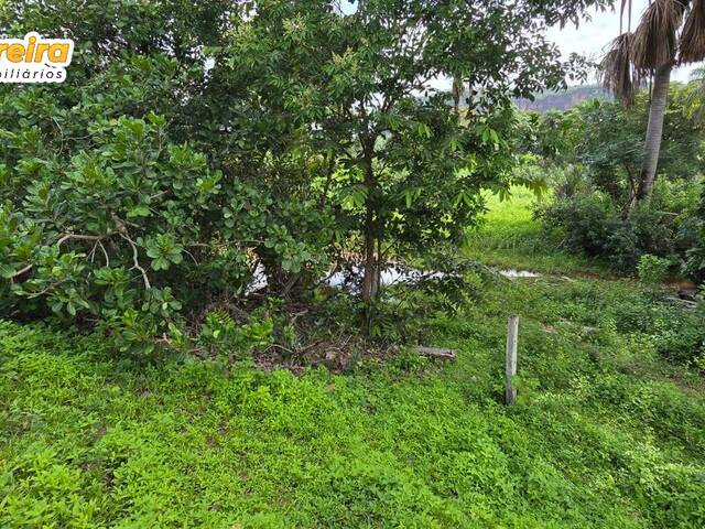 Fazenda para Venda em Babaçulândia - 5