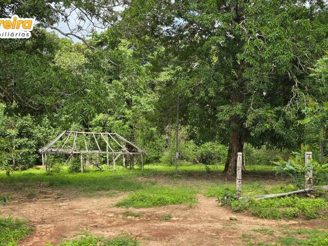Fazenda para Venda em Babaçulândia - 4