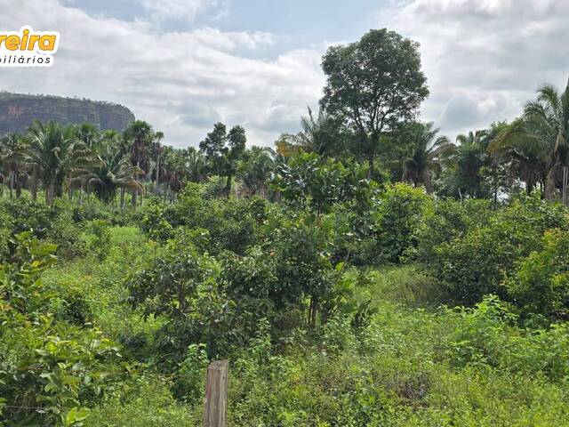 #3136 - Fazenda para Venda em Babaçulândia - TO - 3