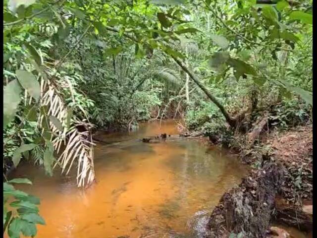 #3136 - Fazenda para Venda em Babaçulândia - TO - 2