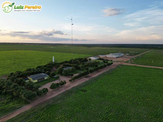 #3137 - Fazenda para Venda em Juscimeira - MT - 1