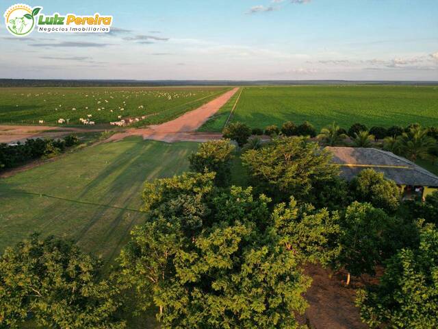 #3137 - Fazenda para Venda em Juscimeira - MT - 2