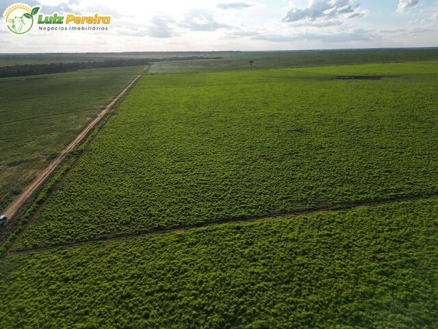 #3137 - Fazenda para Venda em Juscimeira - MT - 3