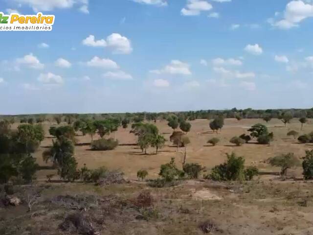 #3138 - Fazenda para Venda em Dois Irmãos do Tocantins - TO - 3