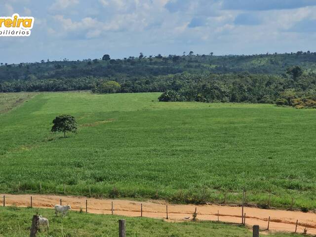 #3139 - Fazenda para Venda em Portel - PA - 3