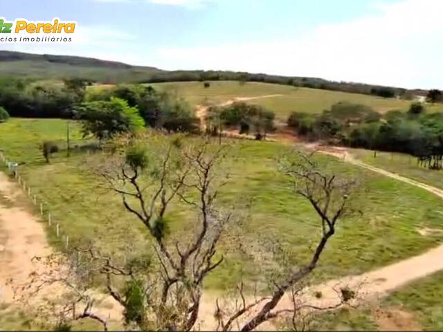 #3140 - Fazenda para Venda em Portel - PA - 3