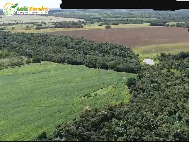#3141 - Fazenda para Venda em Dois Irmãos do Tocantins - TO - 1