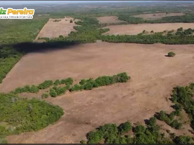 Fazenda para Venda em Dois Irmãos do Tocantins - 5