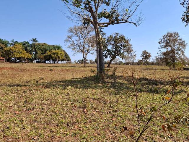 #3142 - Fazenda para Venda em Portel - PA - 2