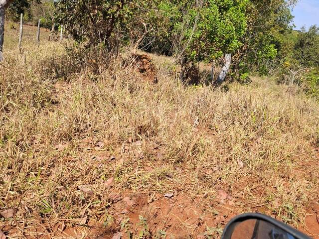 Fazenda para Venda em Paranaíba - 5