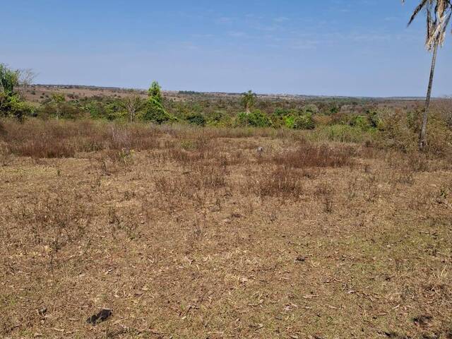 Fazenda para Venda em Paranaíba - 4