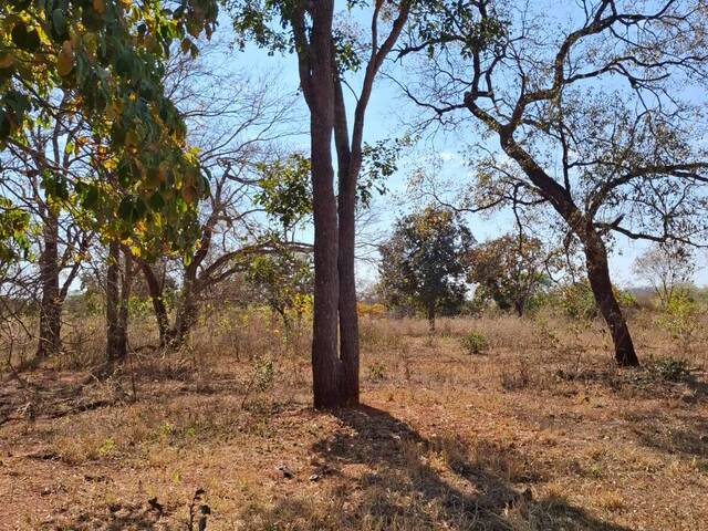 #3142 - Fazenda para Venda em Portel - PA - 3