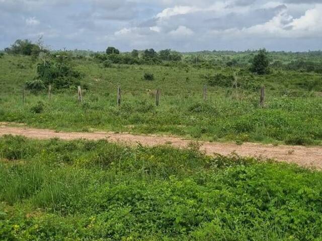 Fazenda para Venda em Goianésia do Pará - 4