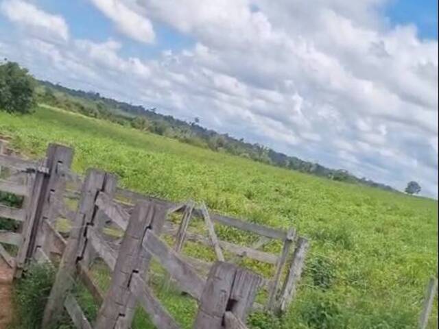 Fazenda para Venda em Goianésia do Pará - 5