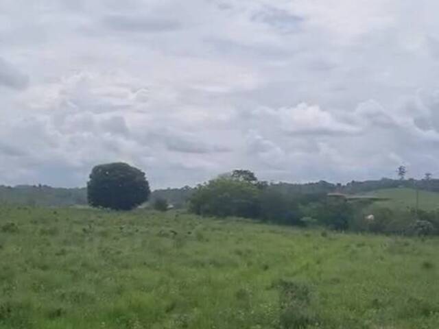 #3143 - Fazenda para Venda em Goianésia do Pará - PA - 1