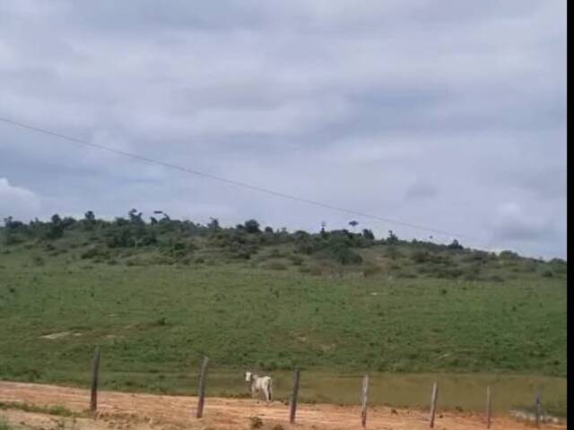 #3143 - Fazenda para Venda em Goianésia do Pará - PA - 3
