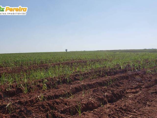#3145 - Fazenda para Venda em Caieiras - SP - 2