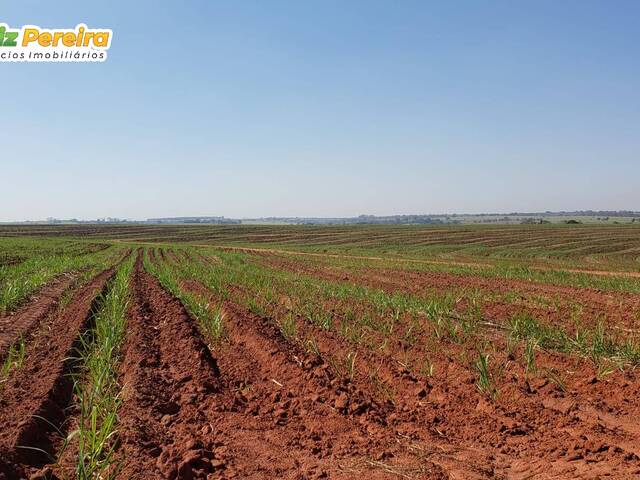 Fazenda para Venda em Colômbia - 4