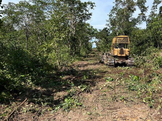 Fazenda para Venda em Santa Maria do Tocantins - 4