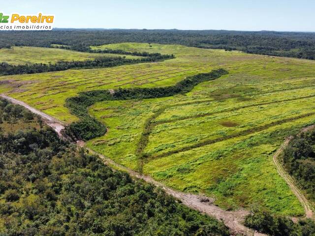 #3146 - Fazenda para Venda em Santa Maria do Tocantins - TO - 2